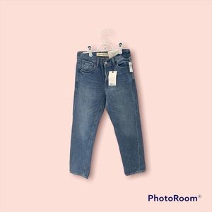 GAP Original 1969 Vintage Easy Straight Leg Button-fly Denim Size 24 Midrise